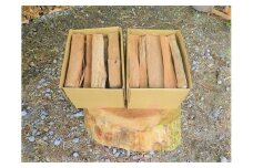 1B13「きこりの薪」B金時山セット　ミックス広葉樹