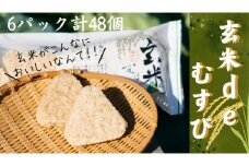 11D1玄米deむすび　6パック