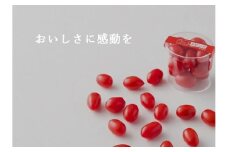 3A14アメーラルビンズ　5パック入り