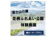 3AD2足柄ふれあい公園　体験農園　畑オーナープラン（12か月）