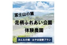 S25足柄ふれあい公園　体験農園　みんなの畑・おやま協賛プラン	