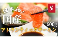 C62【毎週金曜発送】日本初！今話題の国産アトランティックサーモン「FUJI ATLANTIC SALMON」【生】600ｇ	