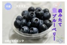 1B45極上摘みたてブルーベリー　100g×4パック【期間限定】