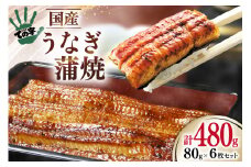うなぎ 国産 蒲焼 80g ×6 計480g [ての字 静岡県 吉田町 22424461] 鰻 ウナギ うなぎかば焼き うなぎ蒲焼き 鰻蒲焼 鰻蒲焼き ウナギかば焼き 真空パック 蒲焼 タレ たれ 静岡県産 unagi