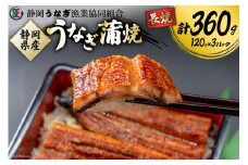  うなぎ 国産 静岡 蒲焼 長焼 120g×3 計360g [静岡うなぎ漁業協同組合 静岡県 吉田町 22424073] 静岡県産 鰻 ウナギ 蒲焼き 真空パック 冷凍