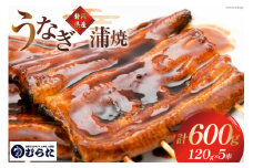 うなぎ 国産 炭火焼 肉厚 蒲焼 120g ×5尾 計600g [村田商店 静岡県 吉田町 22424323] 鰻 ウナギ 炭火焼き 炭火 蒲焼き 冷凍 真空パック うなぎのむらた