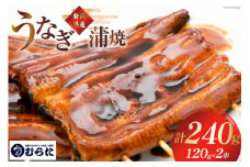 うなぎ 国産 炭火焼 肉厚 蒲焼 120g ×2尾 計240g [村田商店 静岡県 吉田町 22424322] 鰻 ウナギ 炭火焼き 炭火 蒲焼き 冷凍 真空パック うなぎのむらた
