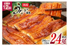 『定期便』国産 うなぎ蒲焼・2尾セット 全12回 [マルニうなぎ加工 静岡県 吉田町 22424423] 鰻 ウナギ 蒲焼き うなぎ蒲焼き 鰻蒲焼き unagi レビューキャンペーン