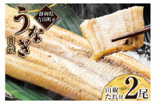 うなぎ 国産 静岡 うなぎ白焼 150g 以上× 2尾 タレ 山椒 付き [大井川うなぎ 静岡県 吉田町 22424463] 鰻 ウナギ 白焼き 白焼 鰻白焼き 真空パック 静岡県産 レビューキャンペーン