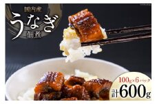 うなぎ 佃煮 国産 静岡 100g ×6 計600g [静岡鰻販売 静岡県 吉田町 22424327] 鰻 ウナギ 真空パック つまみ 酒の肴 惣菜 おかず ご飯のお供 冷凍 レビューキャンペーン