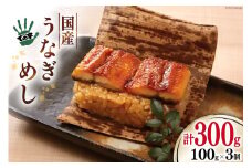 【ての字】 うなぎ 国産 鰻めし 100g ×3 [静岡伊勢丹 静岡県 吉田町 22424468] ウナギ 鰻 蒲焼 蒲焼き おこわ おにぎり 冷凍 ての字