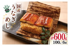 【ての字】 うなぎ 国産 鰻めし 100g ×6 [静岡伊勢丹 静岡県 吉田町 22424467] ウナギ 鰻 蒲焼 蒲焼き おこわ おにぎり 冷凍 ての字