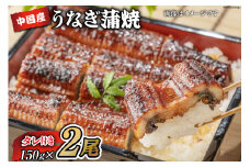 うなぎ 中国産 うなぎ蒲焼 150g×2尾 タレ 山椒 セット [むらた商会 静岡県 吉田町 22424252] 鰻 ウナギ 蒲焼き たれ 惣菜 おかず 鰻重 うな丼 鰻丼 うなぎ料理 鰻料理 冷凍