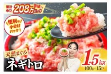 【12月発送】ネギトロ 15パック（計1.5kg） レビューキャンペーン
