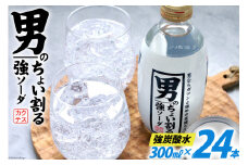 炭酸水 男のちょい割る ソーダ 300ml 24本 [イトウシャディ 静岡県 吉田町 22424297] 炭酸 強炭酸 炭酸飲料  飲料 飲み物 割る 炭酸ソーダ