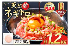 【12月発送】 天然 マグロ ネギトロ まぐろたたき 冷凍 60g 20パック 計1.2kg 小分け 個包装 FY03 [トライ産業 静岡県 吉田町 22424332-12gatsu] まぐろ 鮪 ねぎとろ まぐろのたたき マグロたたき ネギとろ ねぎトロ