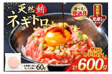 【準備でき次第発送】 天然 マグロ ネギトロ まぐろたたき 冷凍 60g 10パック 計600g 小分け 個包装 FY02 [トライ産業 静岡県 吉田町 22424331] まぐろ 鮪 ねぎとろ まぐろのたたき マグロたたき ネギとろ ねぎトロ