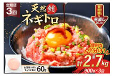 3回 定期便 天然 マグロ ネギトロ まぐろたたき 冷凍 60g 15個 計900g [トライ産業 静岡県 吉田町 22424392] 小分け 個包装 まぐろのたたき 鮪 まぐろ ネギトロ丼 ねぎとろ マグロたたき