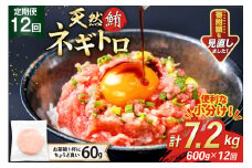 12回 定期便 天然 マグロ ネギトロ まぐろたたき 冷凍 60g 10個 計600g [トライ産業 静岡県 吉田町 22424391] 小分け 個包装 まぐろのたたき 鮪 まぐろ ネギトロ丼 ねぎとろ マグロたたき