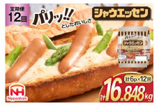 定期便 シャウエッセン 117g(約6本入) 2束 6袋 計1.404kg 12回 総計16.848kg [ 日本ハム マーケティング 静岡県 吉田町 22424428] 冷蔵 小分け ウインナー ウィンナー ソーセージ 粗びき 粗挽き あらびき 業務用 惣菜 弁当 お弁当 おかず おつまみ バーベキュー
