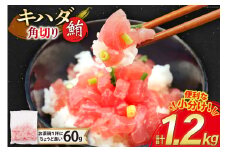 マグロ 天然 キハダマグロ 角切り 60g 20パック 計1.2kg 冷凍 小分け [トライ産業 静岡県 吉田町 22424416-a] まぐろ 鮪 maguro 海鮮 海鮮丼