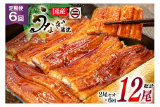 うなぎ 国産 蒲焼 定期便 145g前後 2尾 6回 総計12尾 真空パック タレ 山椒 付き 冷凍 [マルニうなぎ加工 静岡県 吉田町 22424475] 鰻 ウナギ 蒲焼き うなぎ蒲焼 うなぎ蒲焼き 鰻蒲焼き ウナギ蒲焼き 国産うなぎ蒲焼き unagi レビューキャンペーン