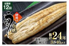 うなぎ 国産 白焼 定期便 160g程度 2尾 12回 総計24尾 3.84kg以上 タレ山椒付き 真空パック 個包装 [駿河淡水 静岡県 吉田町 22424508] 静岡県産 静岡 鰻 ウナギ うなぎ白焼き うなぎ白焼 鰻白焼き 白焼き 化粧箱 冷凍 unagi
