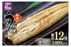 うなぎ 国産 白焼 定期便 160g程度 2尾 6回 総計12尾 1.92kg以上 タレ山椒付き 真空パック 個包装 [駿河淡水 静岡県 吉田町 22424509] 静岡県産 静岡 鰻 ウナギ うなぎ白焼き うなぎ白焼 鰻白焼き 白焼き 化粧箱 冷凍 unagi