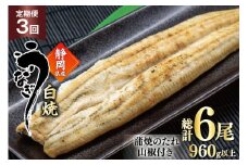 うなぎ 国産 白焼 定期便 160g程度 2尾 3回 総計6尾 960g以上 タレ山椒付き 真空パック 個包装 [駿河淡水 静岡県 吉田町 22424510] 静岡県産 静岡 鰻 ウナギ うなぎ白焼き うなぎ白焼 鰻白焼き 白焼き 化粧箱 冷凍 unagi