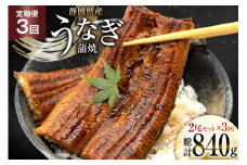 うなぎ 国産 静岡 定期便 蒲焼 長焼 約140g 2尾 3回 総計6尾 [静岡鰻販売 静岡県 吉田町 22424581] 静岡県産 鰻 ウナギ ungai 蒲焼き うなぎ蒲焼き 鰻蒲焼 タレ たれ 山椒 真空パック 冷凍 レビューキャンペーン