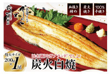 ブランド鰻【でしこ】 うなぎ 国産 静岡 雌うなぎ 炭火 白焼 長焼 200g 1尾 [ヤママツ村田商店 静岡県 吉田町 22424593-a] 鰻 ウナギ unagi 白焼き 雌鰻 雌 メス でしこ 養鰻 静岡県産 真空パック 冷凍 血抜き締め