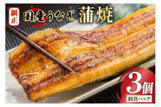 うなぎ 国産 蒲焼 65g×3切【有機原材料使用たれ】 [フーズ・ユー 静岡県 吉田町 22424524] 綱正 鰻 ウナギ unagi 蒲焼き うなぎ蒲焼き うなぎ蒲焼 鰻蒲焼 冷蔵