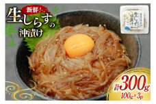 ​生しらす沖漬け 100g 3パック 計300g [マルあ水産 静岡県 吉田町 22424525-b] 生しらす 生シラス 沖漬け しらす シラス 魚 海鮮 駿河湾産