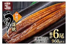 うなぎ 国産 蒲焼 定期便 160g程度 2尾 3回 総計6尾 960g以上 タレ山椒付き 真空パック 個包装 [駿河淡水 静岡県 吉田町 22424513] 静岡県産 静岡 鰻 ウナギ うなぎ蒲焼 鰻蒲焼き 蒲焼き かば焼き 化粧箱 冷凍 unagi