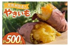 【期間限定発送】 焼き芋 「元気が出るやきいも（フローズン）」紅はるか 500g 冷凍 [うみとやきいもラッキーズ 静岡県 吉田町 22424682] やきいも 焼きいも 焼芋 ヤキイモ 焼イモ おいも 芋 いも べにはるか さつま芋 さつまいも サツマイモ おやつ スイーツ
