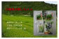 川根茶お試しセットA  イメージ画像