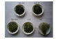 川根茶お試しセットA　茶葉全種