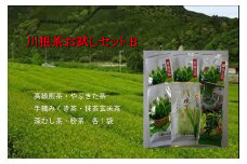 14-1 お茶 茶葉 静岡 煎茶 深蒸し茶 粉茶 玄米茶 やぶきた茶 くき茶 / 川根茶お試しセットB