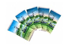 11-20 お茶 茶葉 静岡 煎茶 / 川根 自家用煎茶500ｇ
