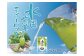 抹茶入り水出し煎茶ティーバッグ5袋