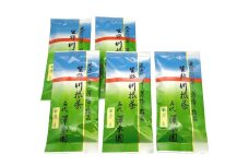 11-32 お茶 茶葉 静岡 煎茶 / 生粋川根茶澤本園 ふるさとありがとう13