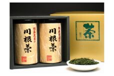 16-2 お茶 茶葉 静岡茶 川根茶/ 初摘み・大はしり100ｇ缶詰合せ（ギフト包装）