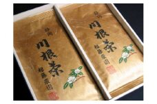 17-6 お茶 茶葉 静岡茶 川根茶/ 初摘み100ｇ袋2本詰合せ（ギフト包装）