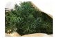 KAGYA JAPAN エッセンシャルオイル５ml【HINOKI】檜の葉の画像