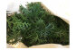 KAGYA JAPAN　エッセンシャルオイルHINOKI　5ml×1本セット　檜の葉の画像