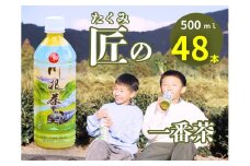 38-1 匠厳選！高級一番茶「川根茶」ペットボトル　２ケース