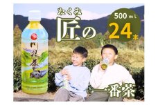19-2 匠厳選！高級一番茶「川根茶」ペットボトル　１ケース