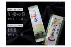 6-7 厳選川根茶 ２種おすすめセット