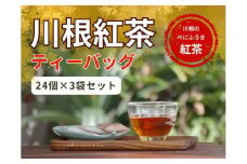 11-63 川根紅茶ティーバッグ 24個入×3袋セット