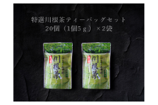 6-12 特選川根茶　ティーバッグセット２袋